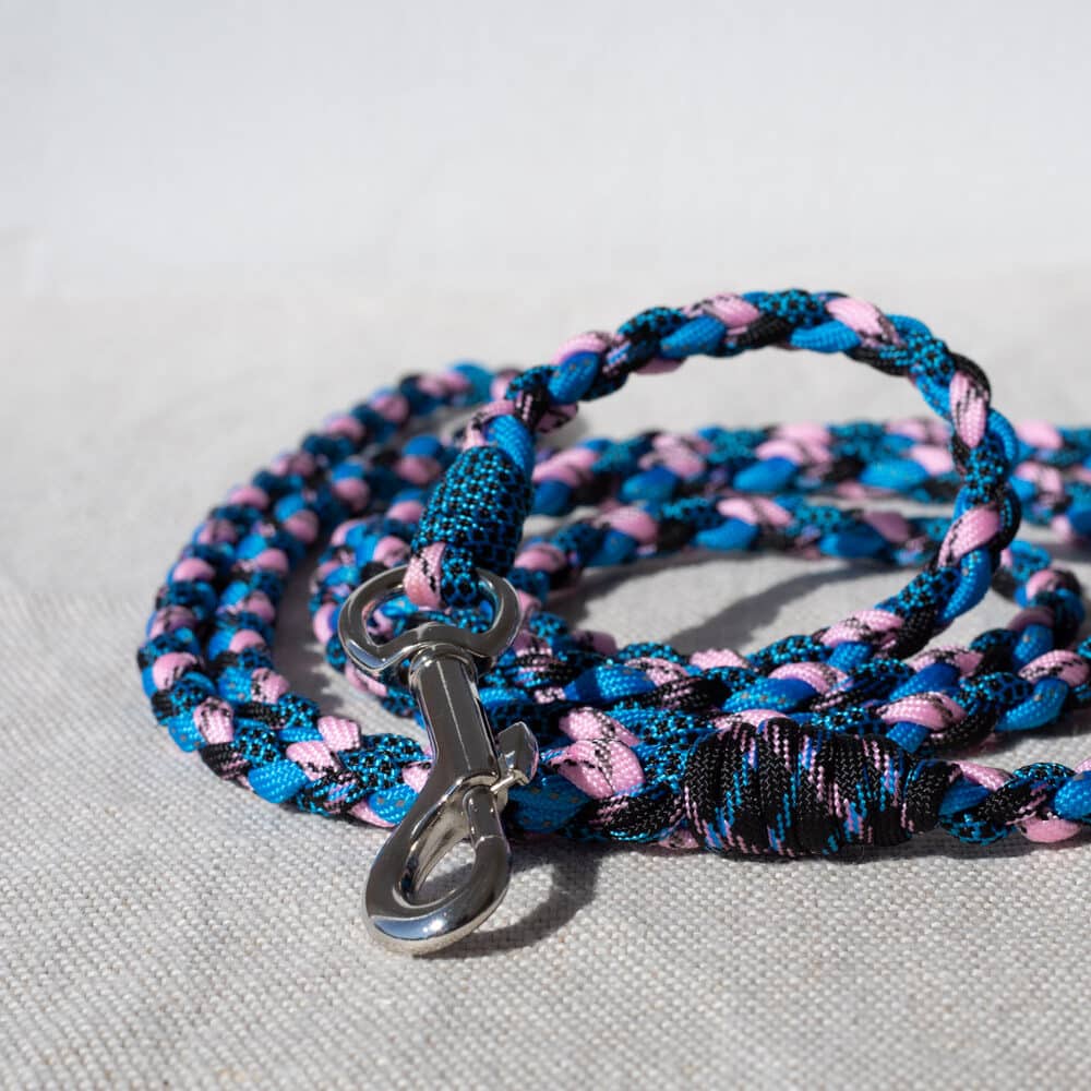 Blue and pink round braid dog leash made of 4 strands of 550 paracord.