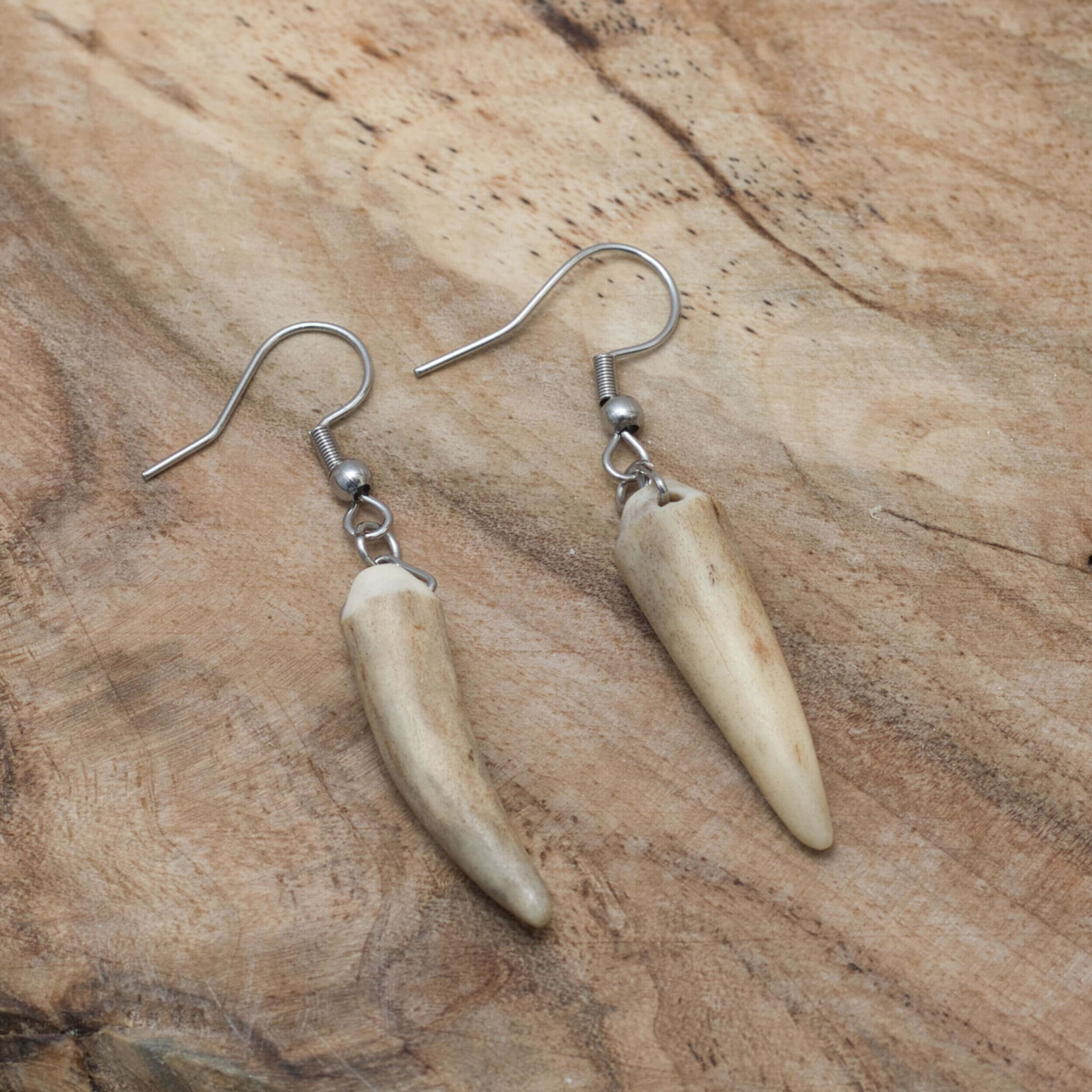 Hängeohrringe mit Geweihspitzen und Edelstahl, handgefertigt, elegant und einzigartig.